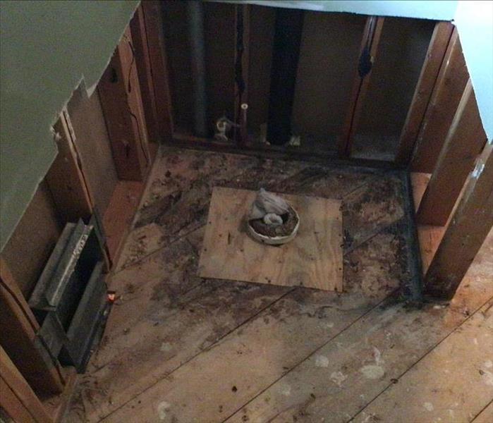 toilet and drywall removed from bathroom