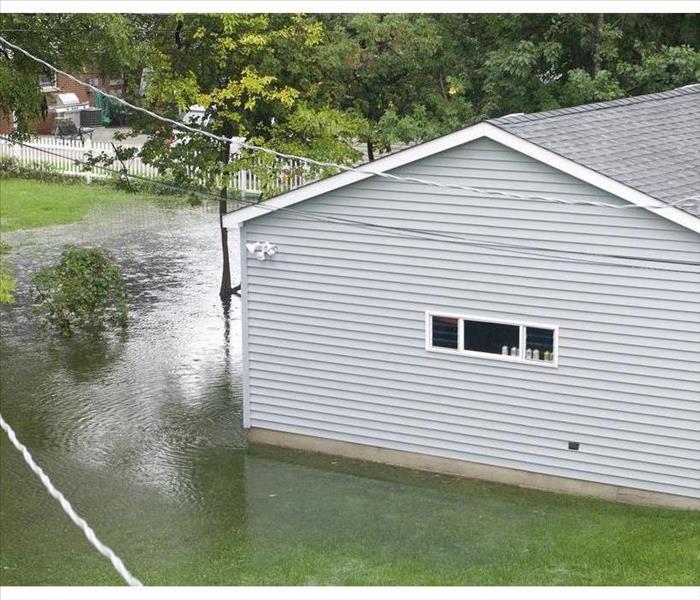 Flooded backyard 